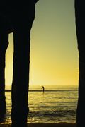 "GOLDEN HOUR GLIDE" PRINT (digital)