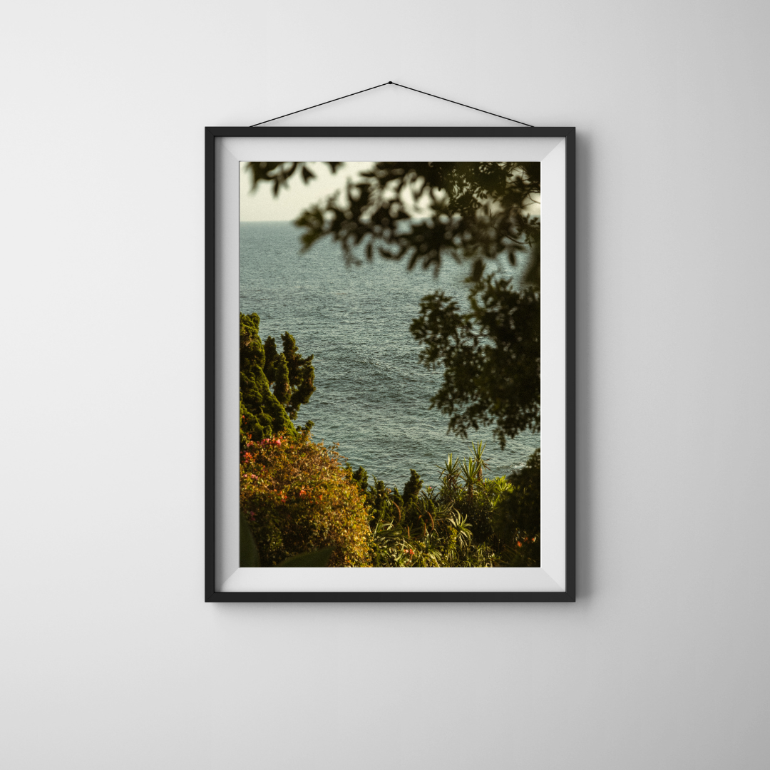 "PRIVATE PARADISE" PRINT (digital)